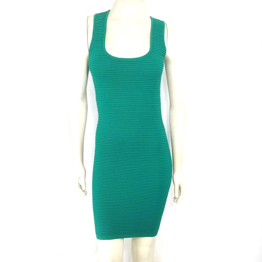 Torn Ronni Kobo Dress Ribbed Bodycon Mini